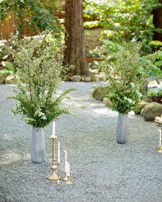 A simple, yet sophisticated and stunning, ceremony set-up?✨! Still one of my faves?Coordination + Design // @brannan_events Photography // @_yuliyam Florals // @twfloraltruck Rentals // @thechiavariguys Calligraphy // @jbg_designs Venue // @deer_park_villa .......#brannanevents #deerparkvilla #wedding #bride #groom #weddingceremony #redwoods #californiabride #californiawedding #ceremonydecor #weddingplanning #weddingdesign #weddingplanner #bridal #bridalinspiration #engaged #romantic #dreamy #redwoodswedding #twilight #modern #lush #candlelight #gold #decor #weddingdecor