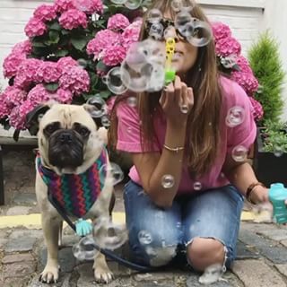 Bubbles and pugs — what could be better than this #BoomerangOfTheWeek by Maitri Mody (@honeyidressedthepug) with her pup, Ari? “On most weekends, Ari and I are out and about in London, exploring new neighborhoods and dressing up in coordinated outfits,” says Maitri. “This was taken in South Kensington, in one of our favorite spots with colorful doors and walls. It was the perfect setting to capture Ari’s reaction to bubbles. I was totally expecting him to start chasing them, but he just stood there and watched!” Add #BoomerangOfTheWeek to your next Boomerang — yours might show up here on @instagram. #Boomerang by @honeyidressedthepug