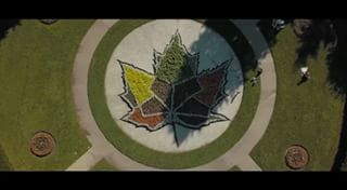 Mil gracias Toronto Canada ??. Los amo hasta pronto