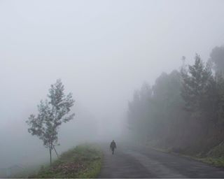 Photo and caption by @petekmuller. The mornings are brisk in Kenya's Muranga County, particularly at this time of year. Fog defines the early hours, especially in the county's upper reaches where the altitude climbs to nearly 6200 feet (1850 meters) above sea level. This rural county, approximately 2 hours north of the capital city of Nairobi, is home to lush and seemingly endless tea plantations, beautiful rolling hills and gin-clear rivers. While many relish Kenya's world-famous savannas, I often opt for its rich, green highlands instead. I pack my fly fishing rod, my pup, a few days worth of food and set out for these serene and restorative hills. Follow @petekmuller for experiences, adventures and observations from Kenya and beyond. #Kenya  #Africa #nature #outdoors #green #fishing